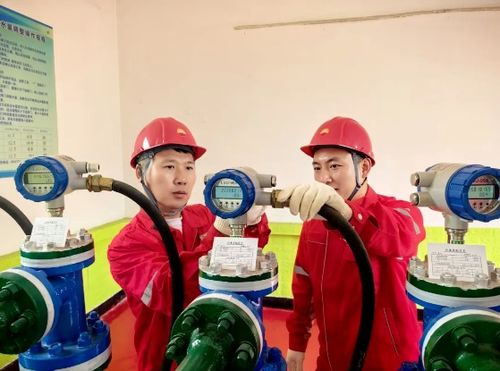 吉林油田松原采氣廠深化物聯網應用，賦能油氣生產協調優化